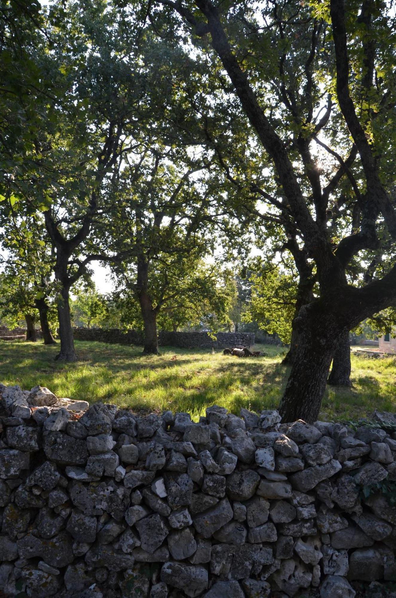 Villa Olivetta By Istrian Country Houses Barat  Exterior foto
