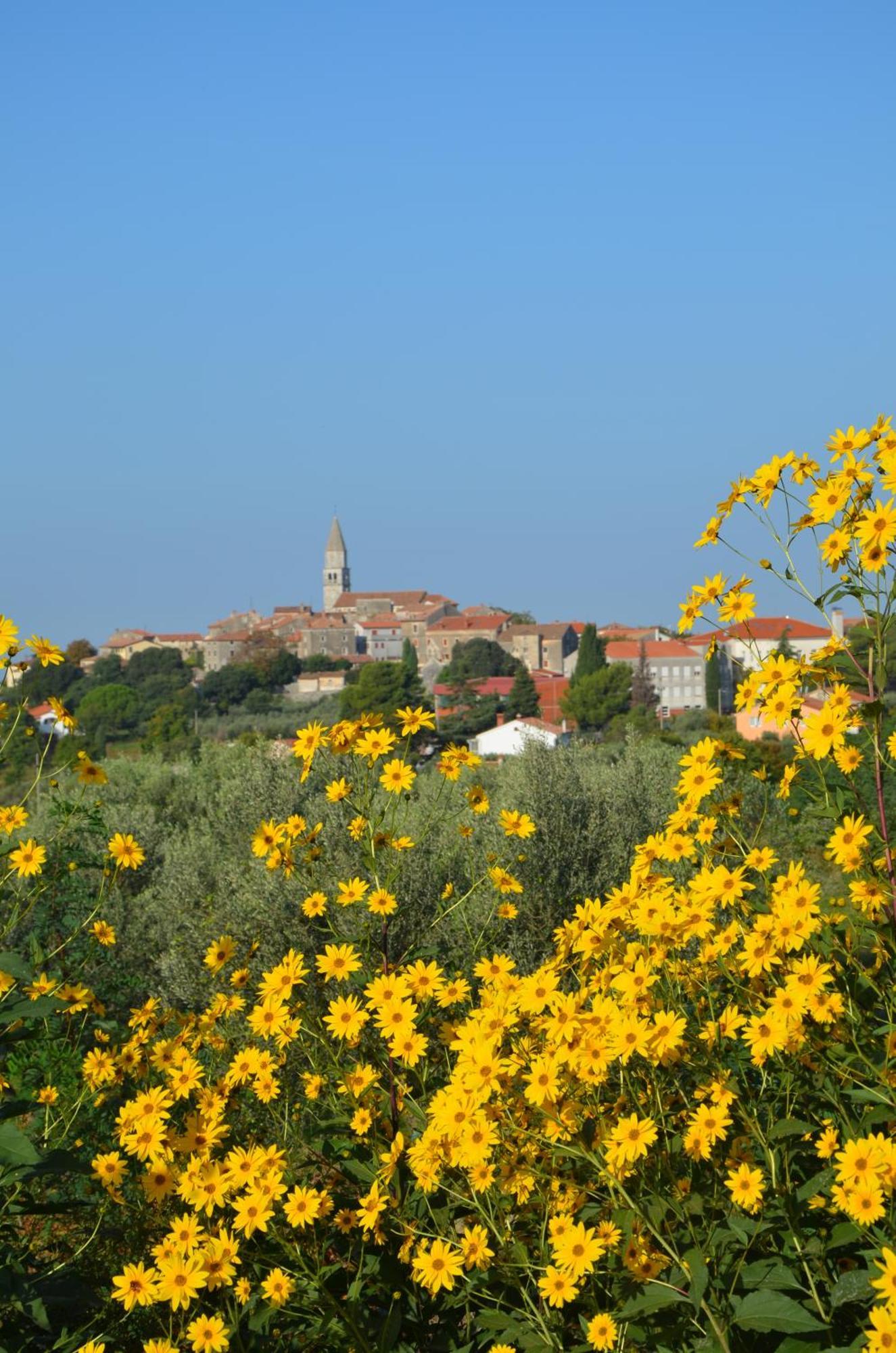 Villa Olivetta By Istrian Country Houses Barat  Exterior foto
