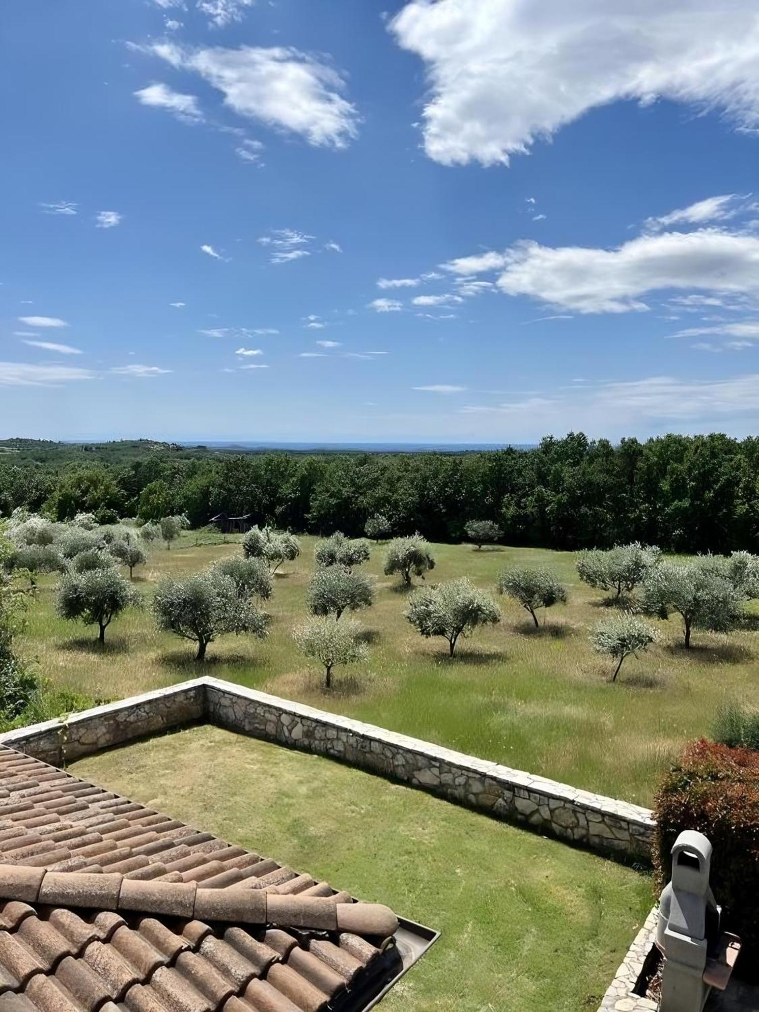 Villa Olivetta By Istrian Country Houses Barat  Exterior foto